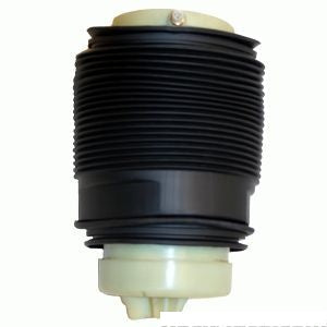 Air Spring Rear Left Mercedes Benz E350 2013