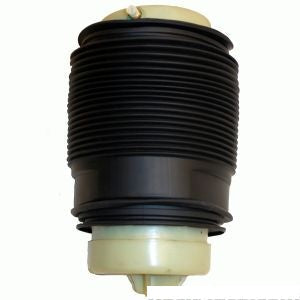 Air Spring Rear Right Mercedes Benz E350 2013