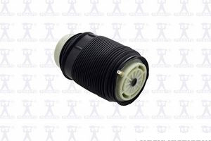 Air Spring Rear Left Mercedes Benz E500 2012