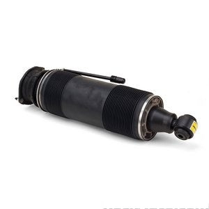 Shock Strut Rear Left Mercedes Benz Sl65 Amg 2008