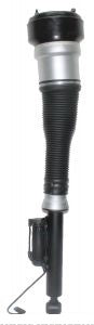 Shock Strut Rear Left Mercedes Benz Cl500 2007