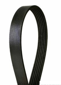 Belt Mercedes Benz Cl600 2005