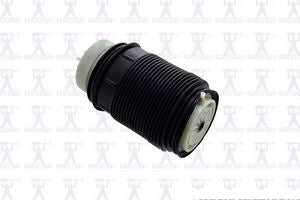Air Spring Rear Right Mercedes Benz E500 2012