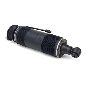 Shock Strut Rear Right Mercedes Benz Sl500 2009